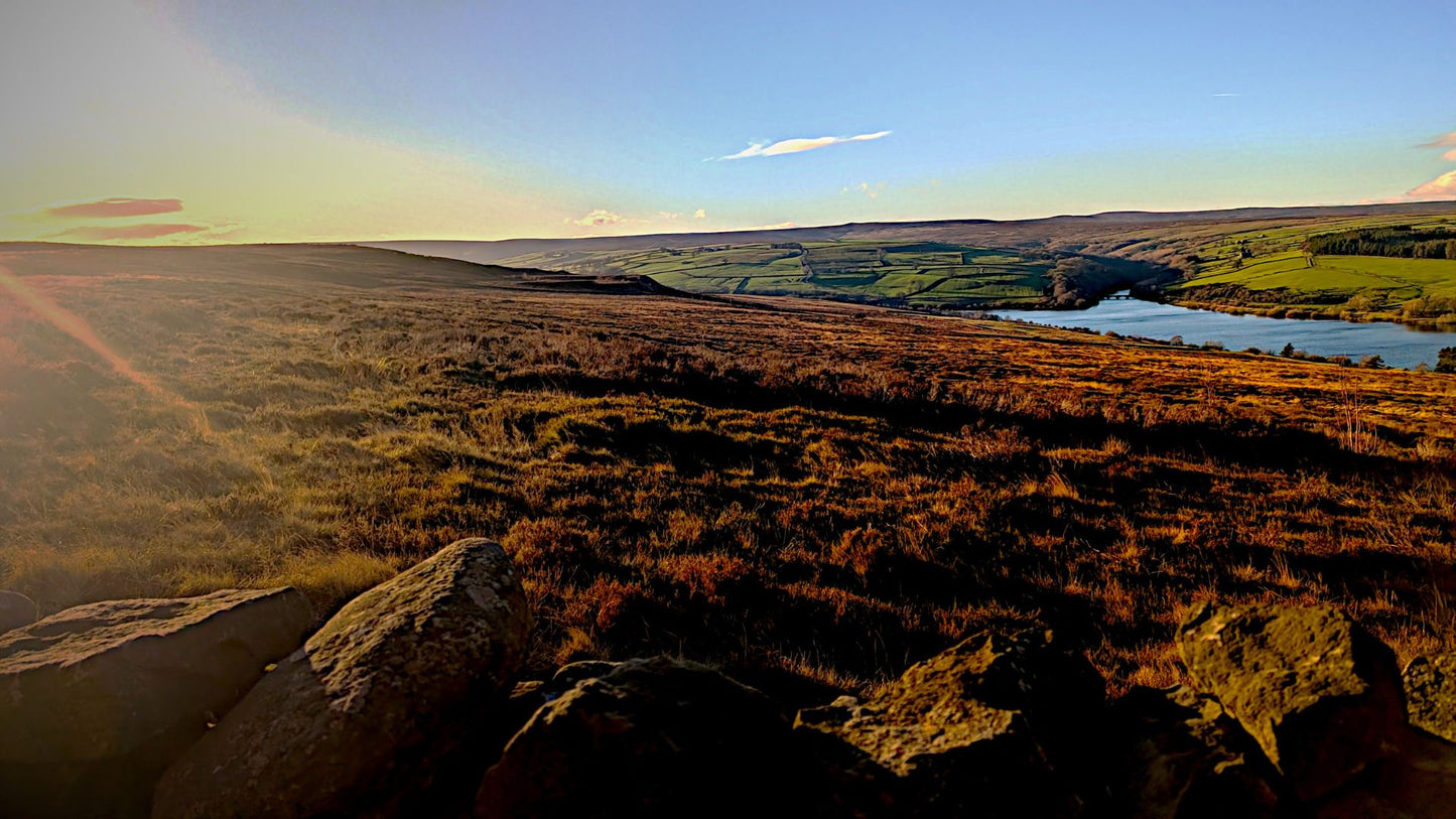 Golden Hour View Across Lake and Farmland Bundle