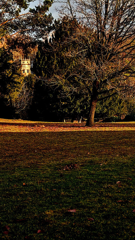 Fountains Abbey Chapel Through Trees Bundle