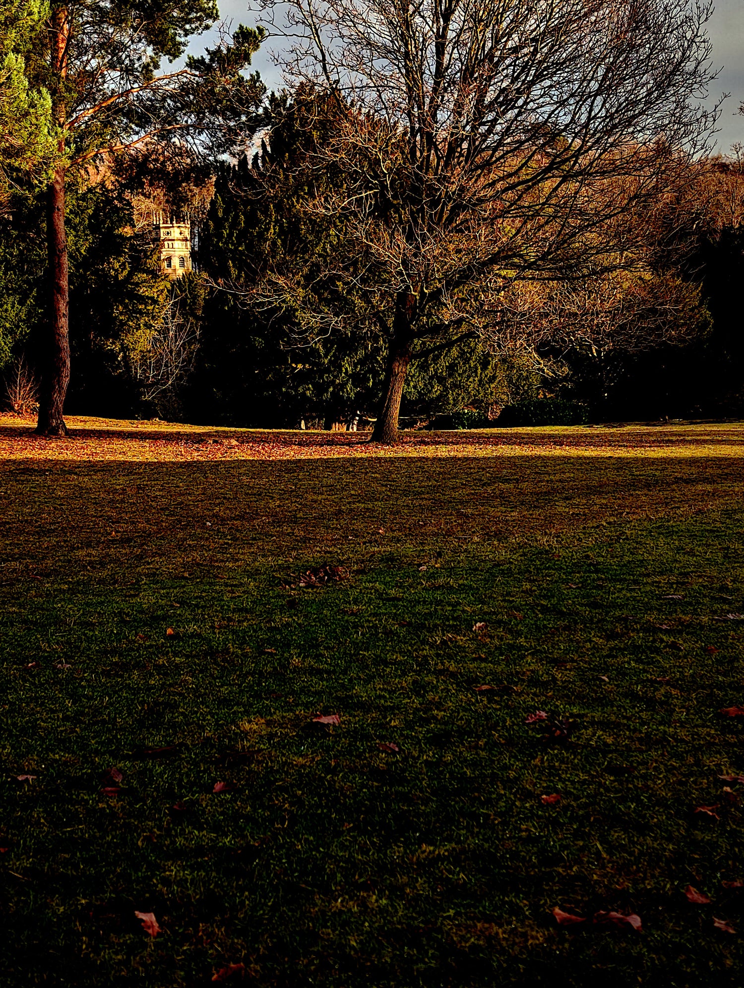 Woodland & Nature