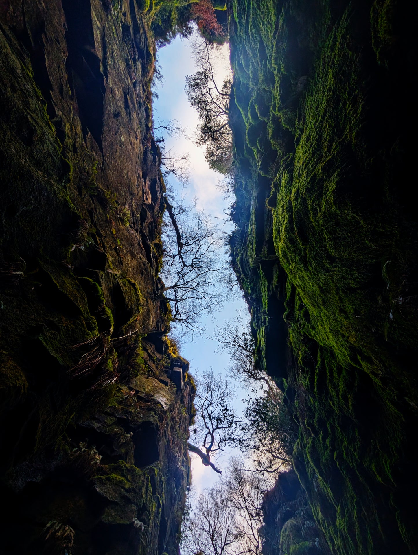 Deep in the chasm