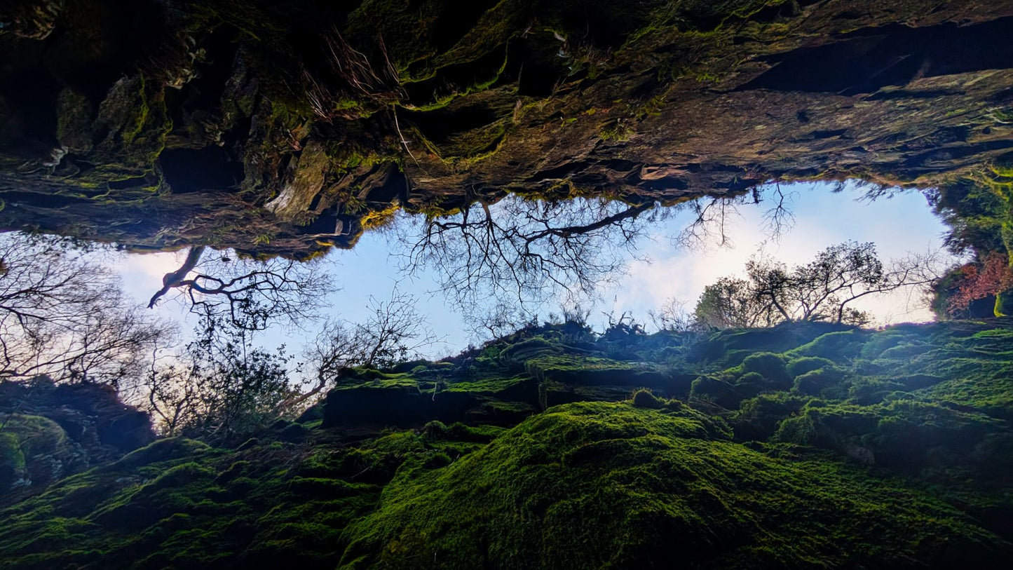 Deep in the chasm