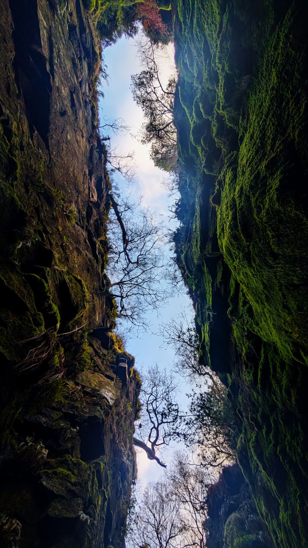 Deep in the chasm