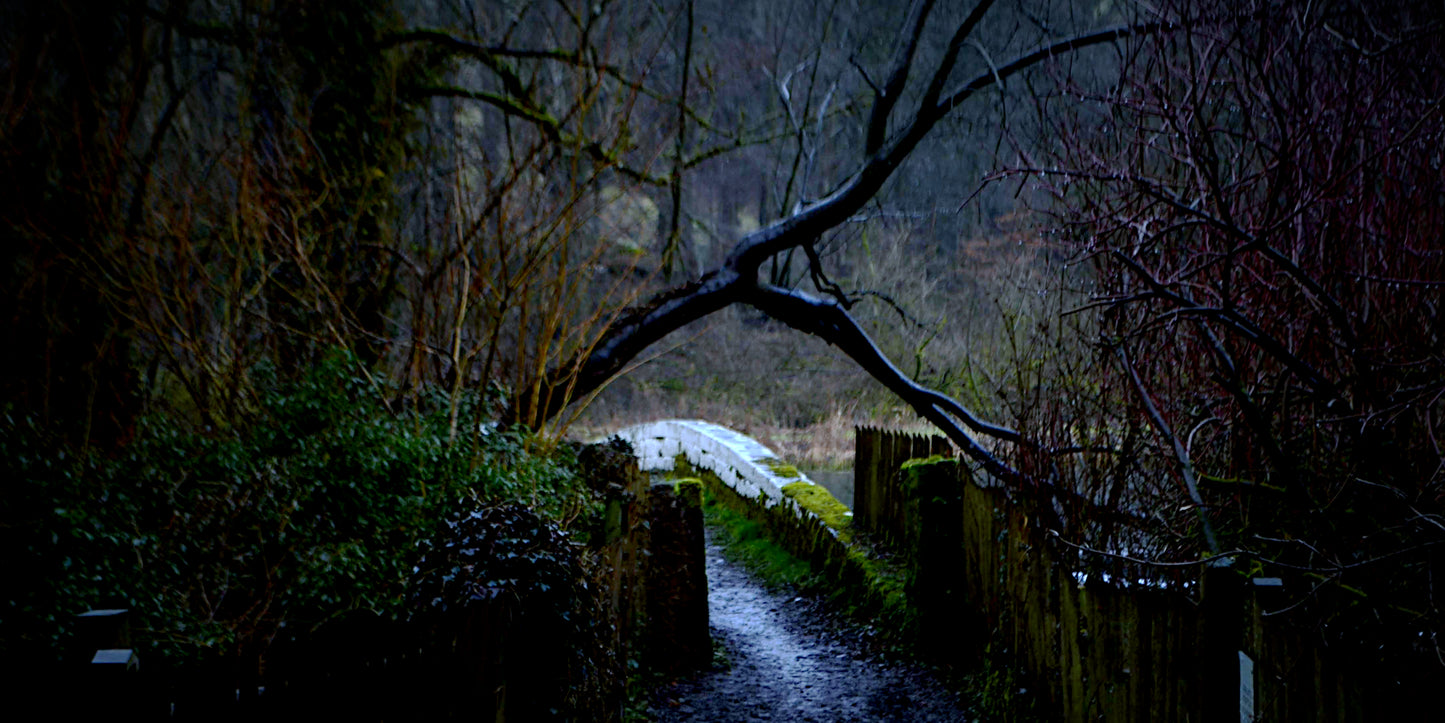 Mossy Stone Bridge Woodland Path Bundle
