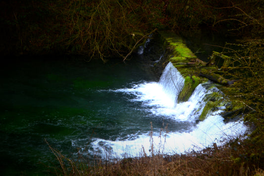 Woodland Stream Weir Bundle