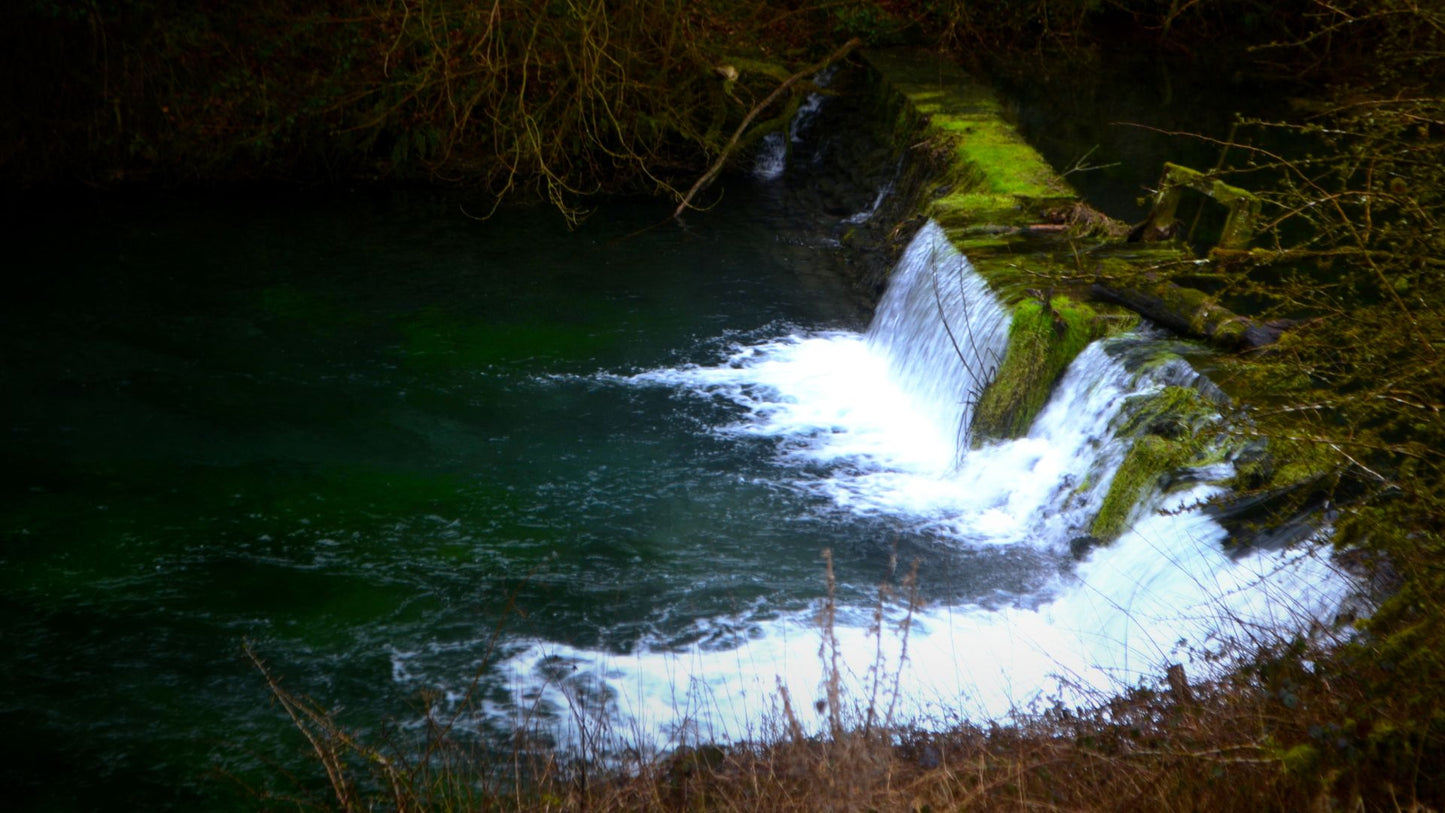 Woodland Stream Weir Bundle