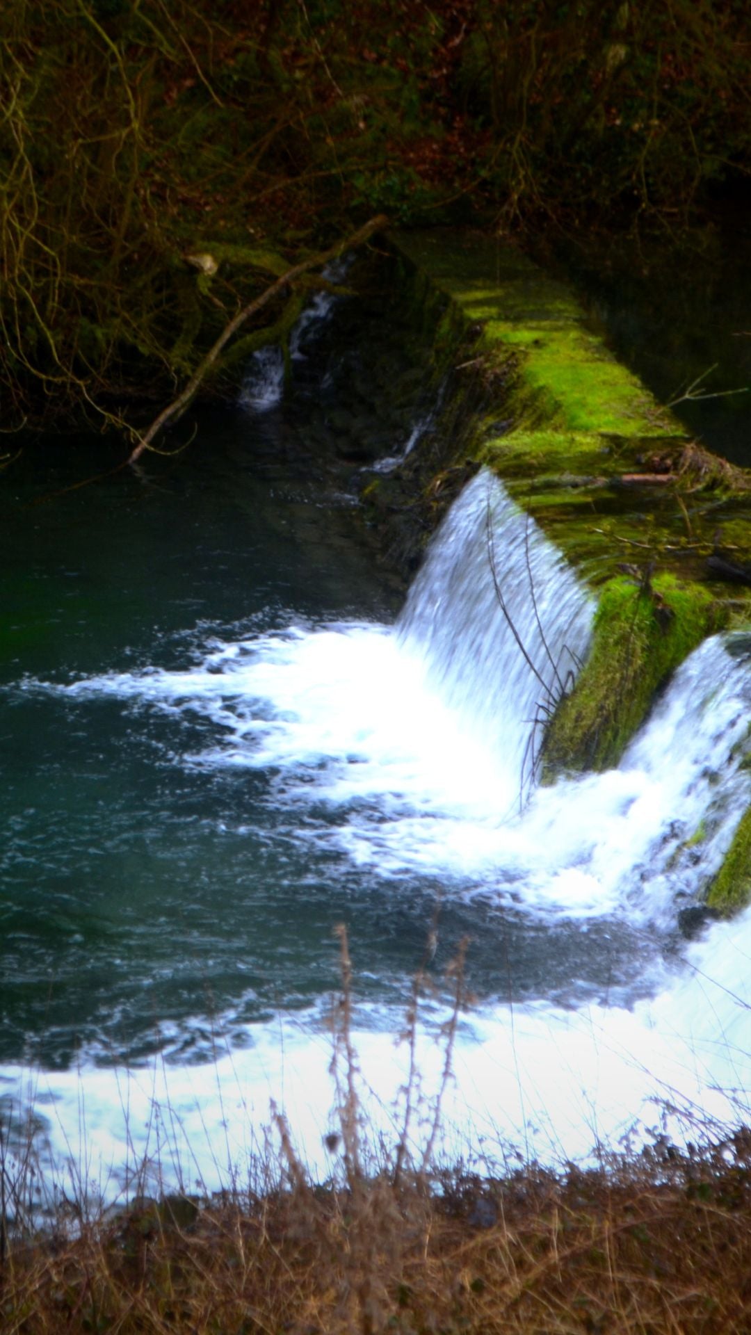 Woodland Stream Weir Bundle