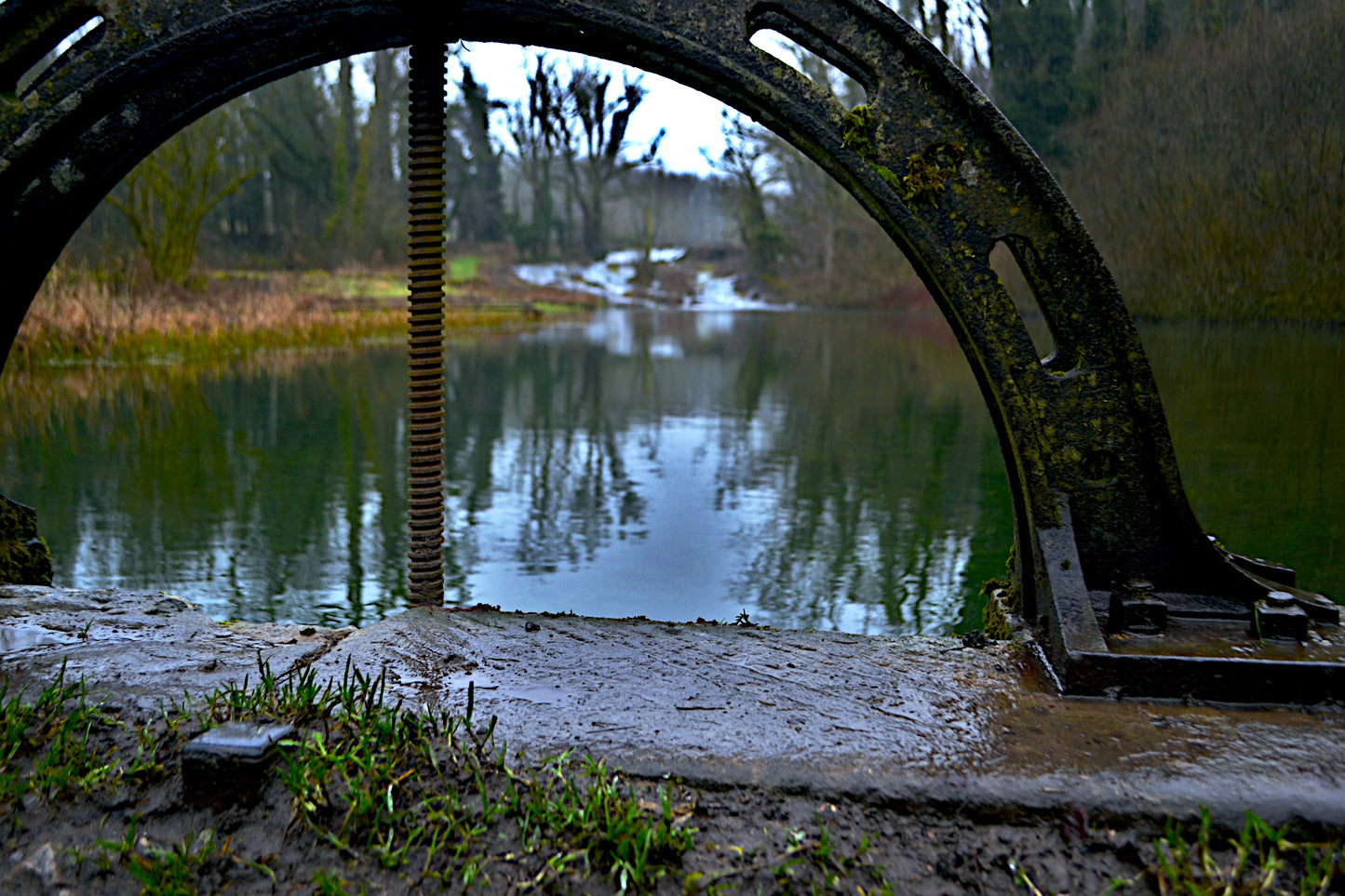 Curved Metal Spiral Structure Forest Lake Bundle
