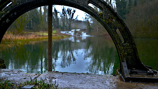 Curved Metal Spiral Structure Forest Lake Bundle