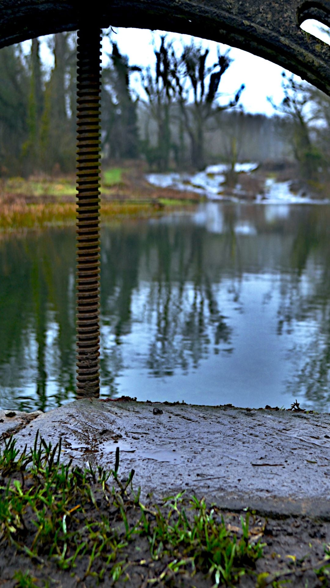 Curved Metal Spiral Structure Forest Lake Bundle
