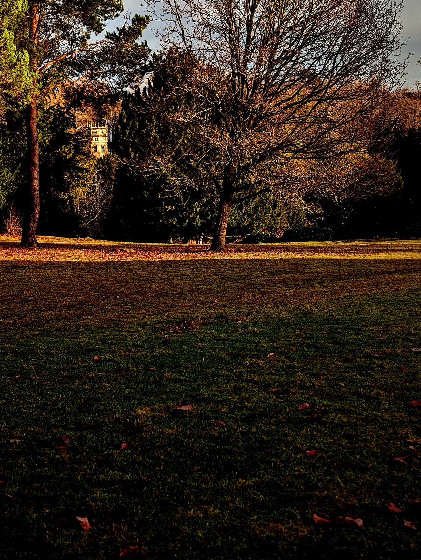 Fountains Abbey Chapel Through Trees Bundle