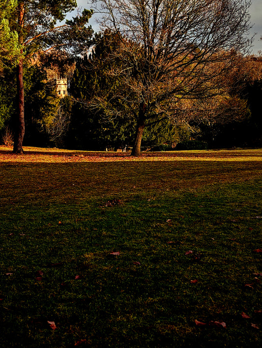 Fountains Abbey Chapel Through Trees Bundle
