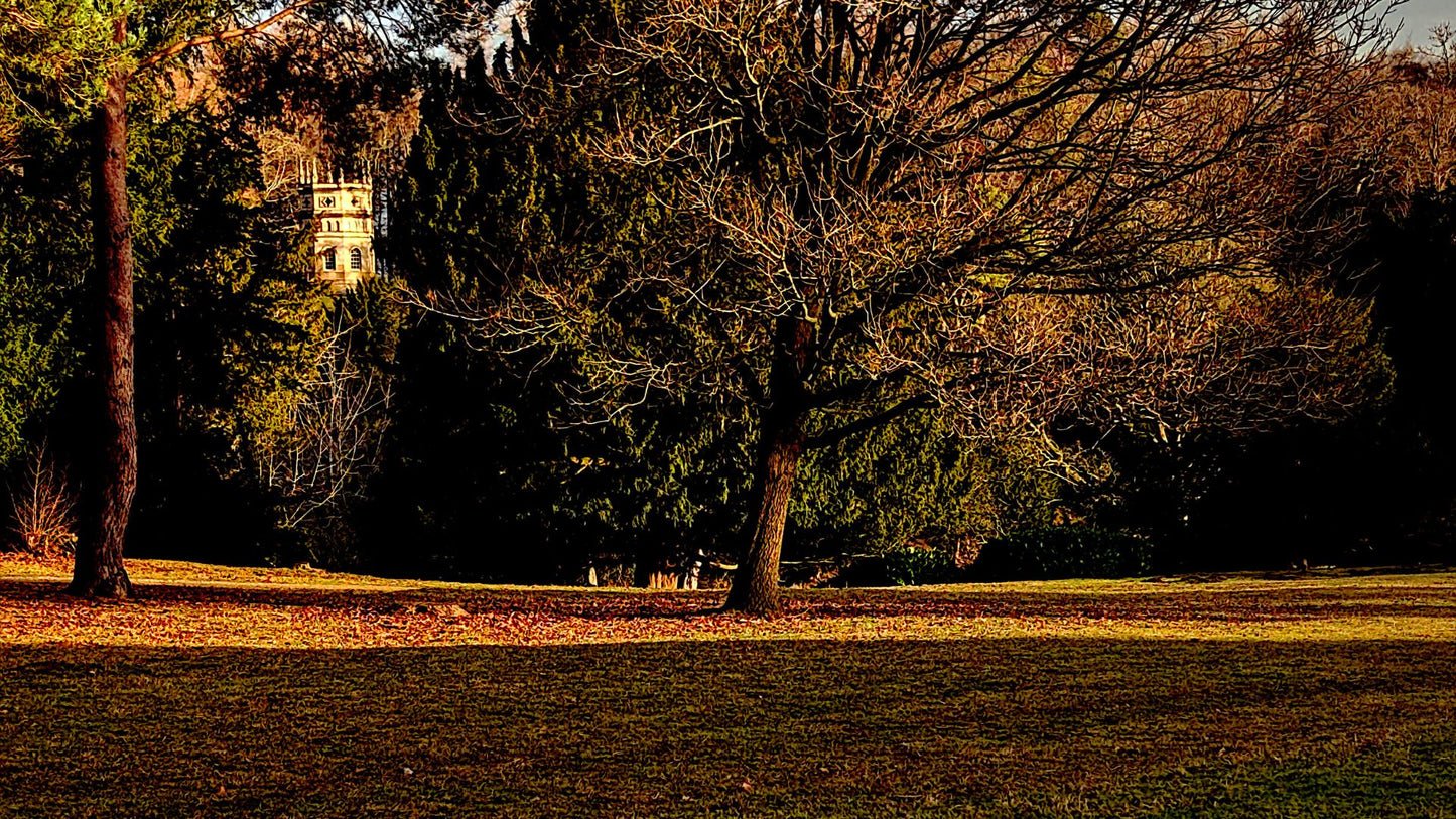 Fountains Abbey Chapel Through Trees Bundle