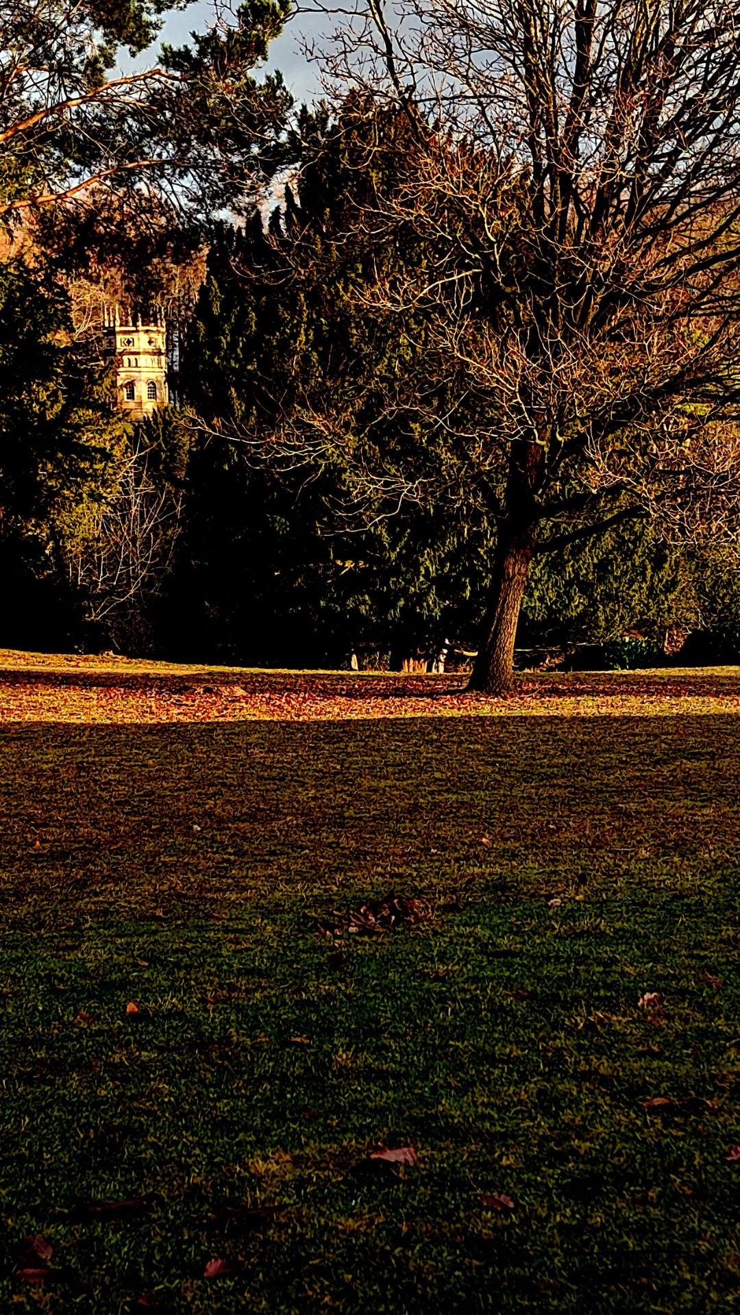 Fountains Abbey Chapel Through Trees Bundle