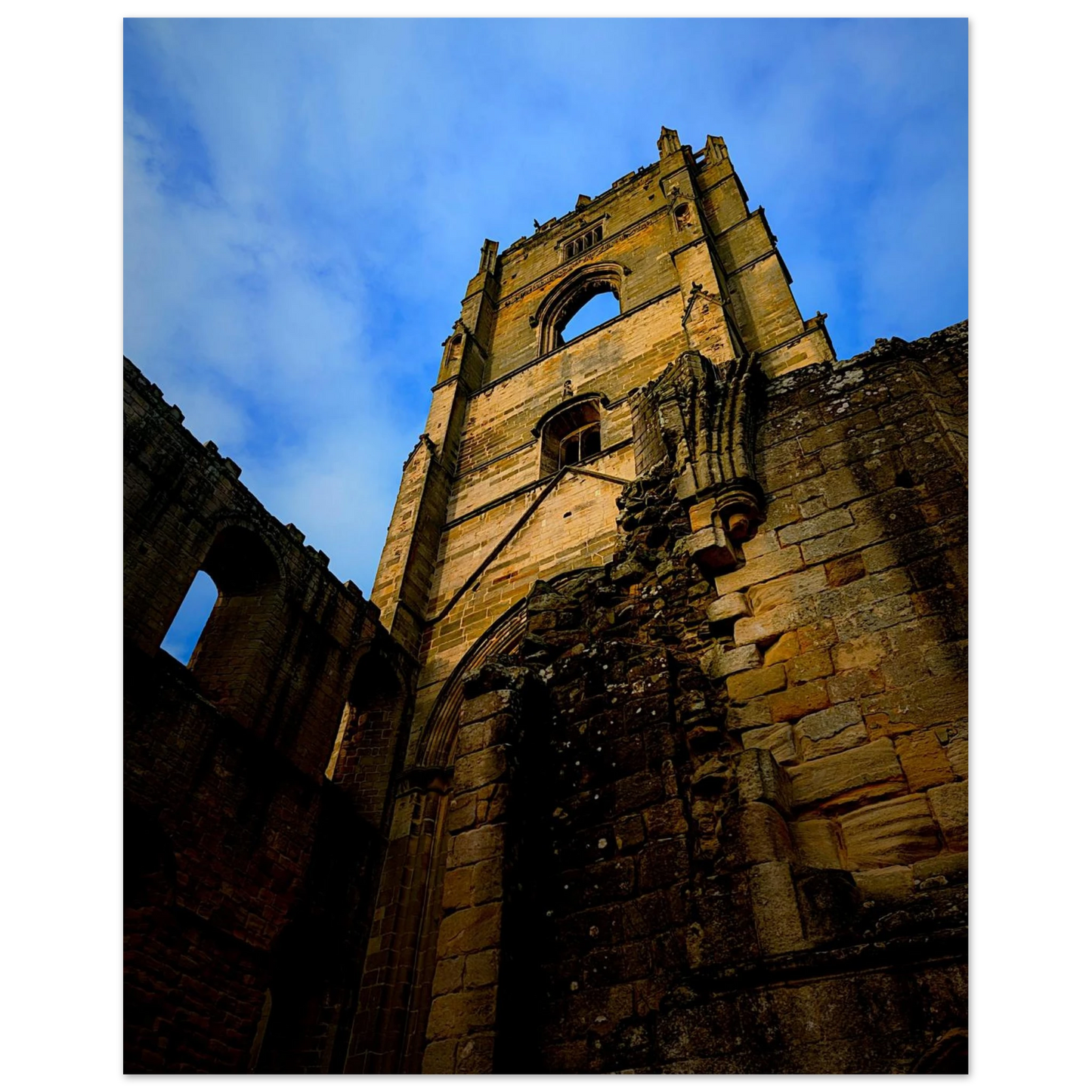 d20a9549-433d-46c8-af02-e0c4f346a7fb